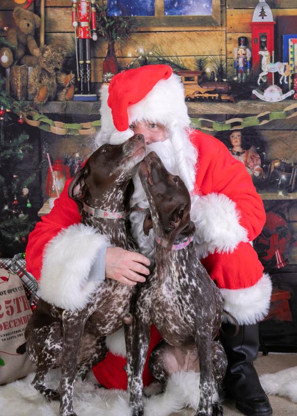 /Images/uploads/Southeast German Shorthaired Pointer Rescue/segspcalendarcontest/entries/31178thumb.jpg